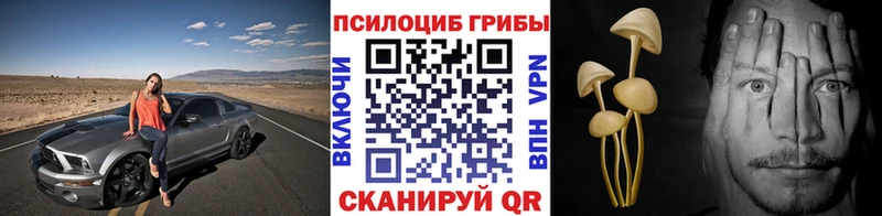 Галлюциногенные грибы Psilocybe  закладка  Мценск 