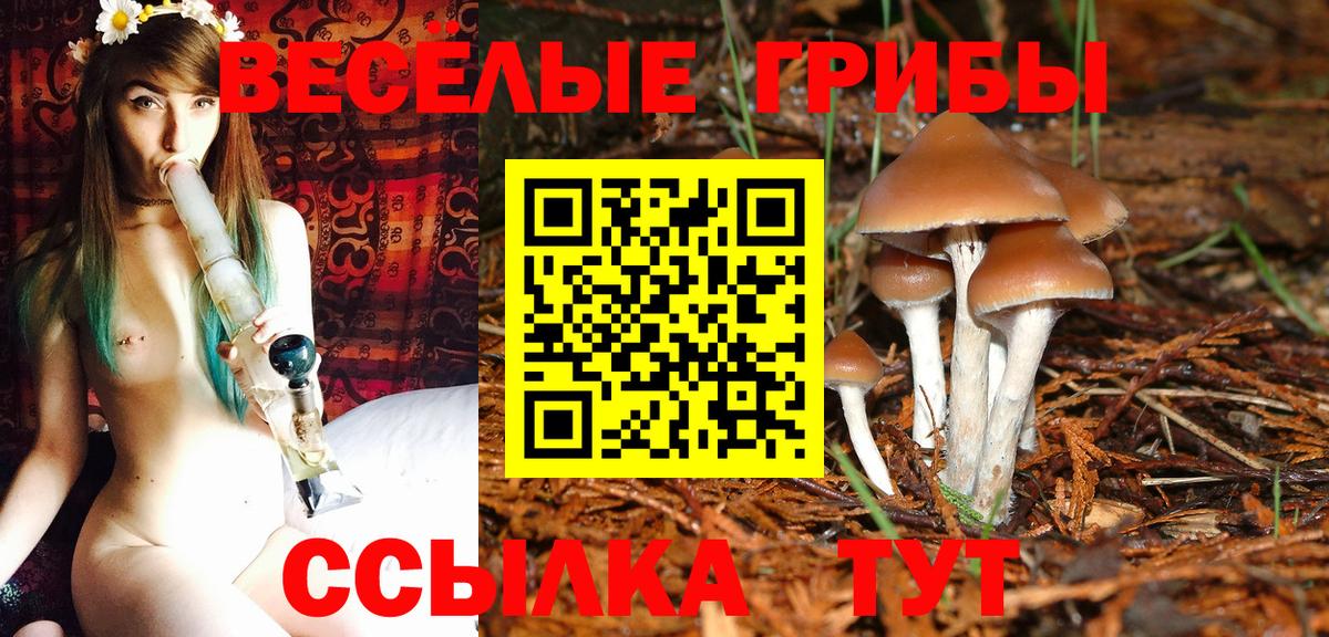 Псилоцибиновые грибы мицелий Мценск