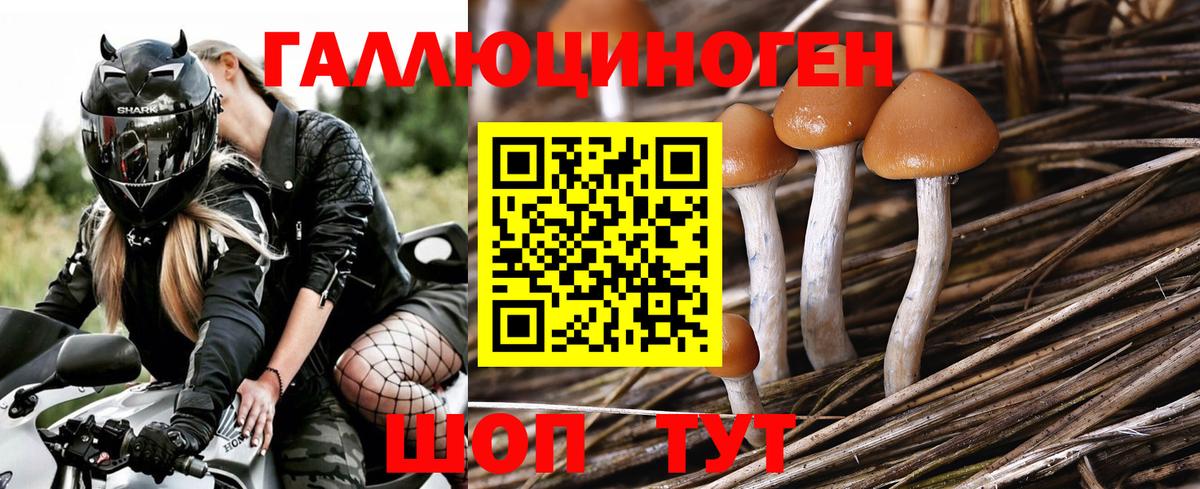 Бошки Шишки  Марихуана  Вход с VPN  Кодеин  MDMA  Меф МЯУ МЯУ кристаллы  Мценск  ЭКСТАЗИ  Cocaine  Лсд 25  Alpha PVP СК   ГАШ 