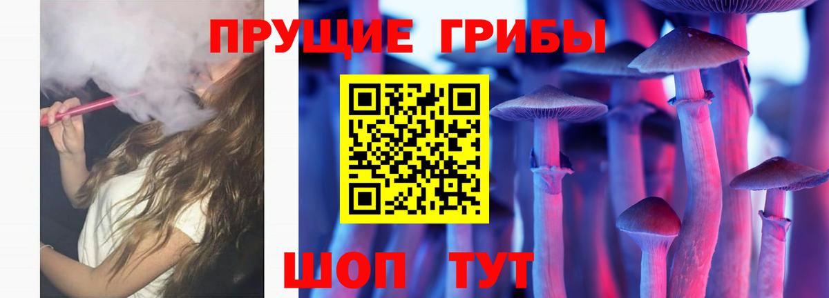 Псилоцибиновые грибы GOLDEN TEACHER  Вход с VPN  Мценск 
