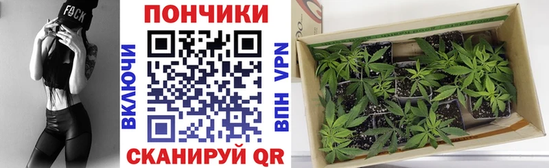 Бошки Шишки Amnesia  даркнет сайт  Мценск 